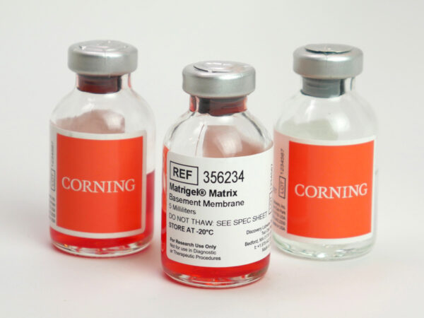 : Corning® Matrigel® Basement Membrane Matrix，356234