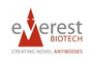 Everest Biotech常用抗体