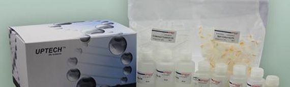 索莱宝基因组和质粒提取试剂盒