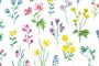 herb pattern