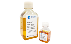Elitecell EliteGro细胞培养基
