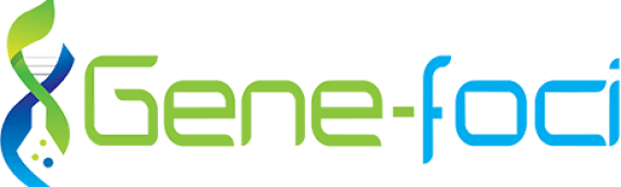 Gene-Foci BCA定量试剂盒
