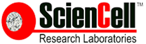 美国ScienCell原代细胞