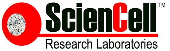 美国Sciencell细胞检测试剂盒