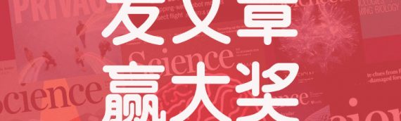 发文章，赢大奖