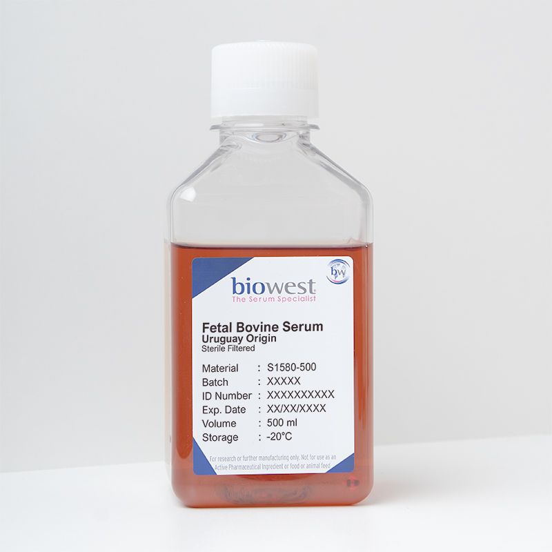 Biowest胎牛血清